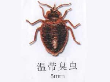 滅臭蟲(chóng)公司費(fèi)用一定要控制在合理范內(nèi)
